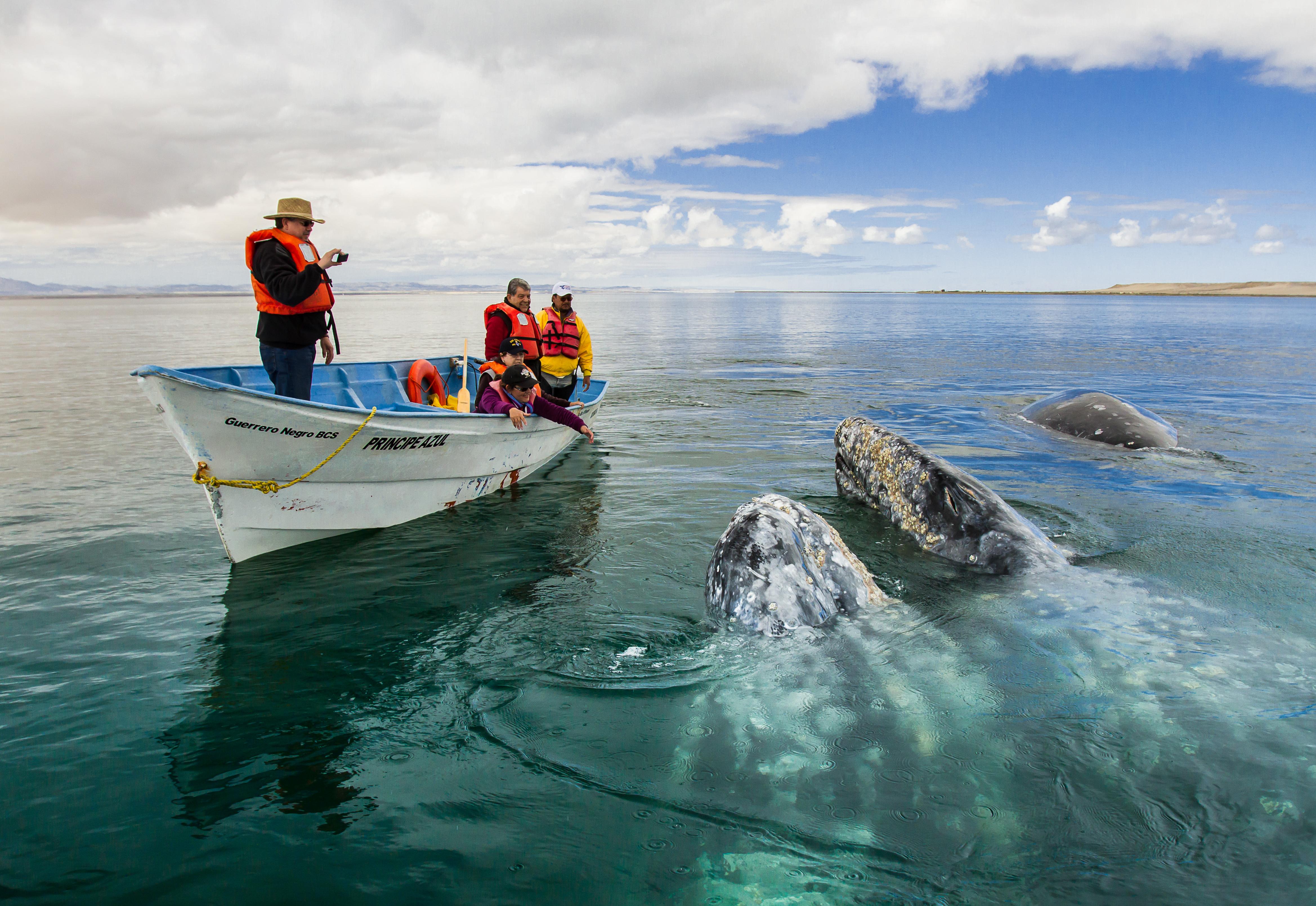 The Westmarine Waterfront Hotel La Paz Luaran gambar